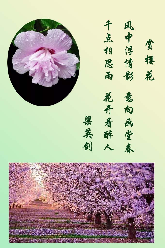 ��ӣ��  ��Ӣ��.jpg