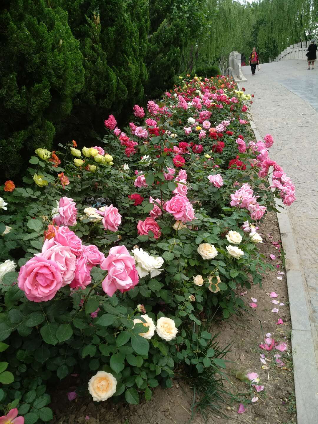 ΢��ͼƬ_20190519123315.jpg