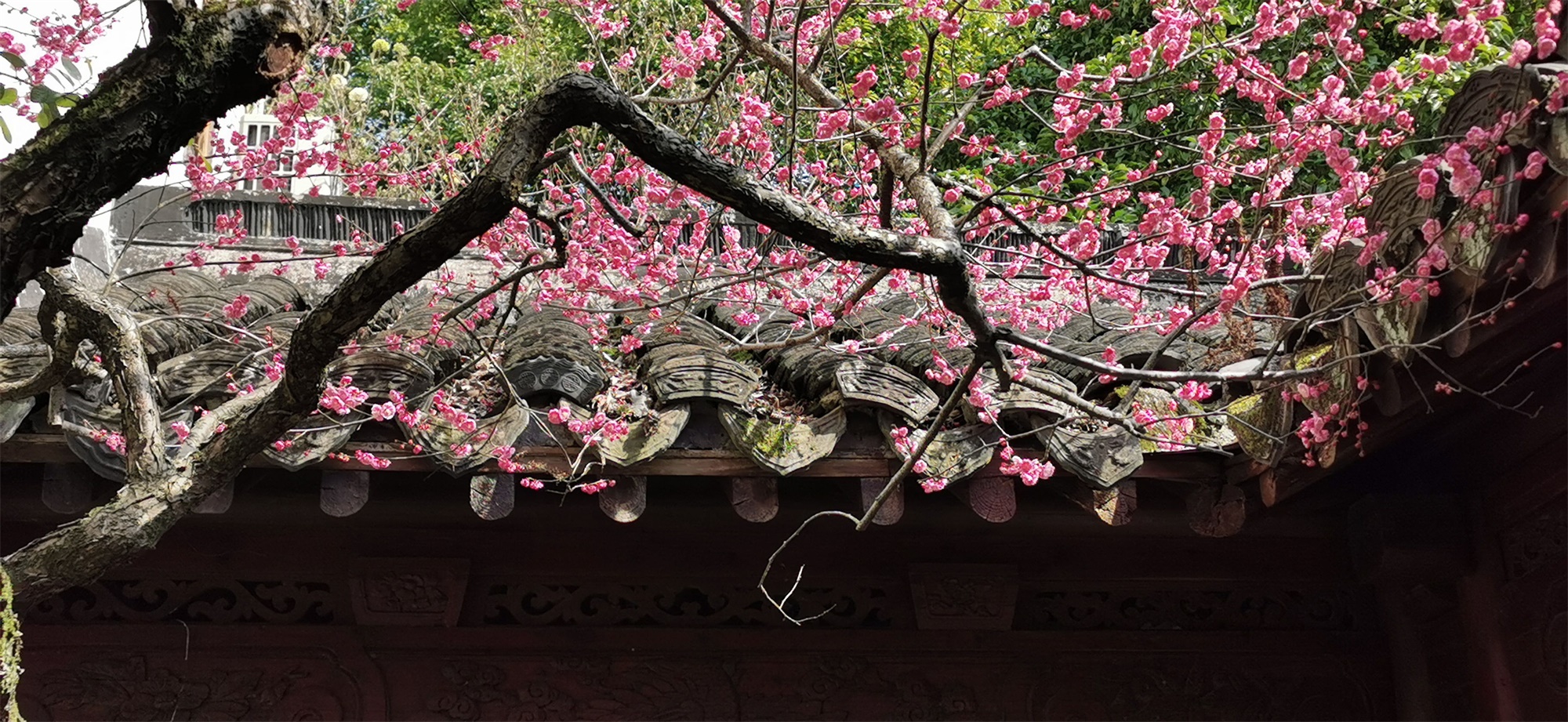 ÷��