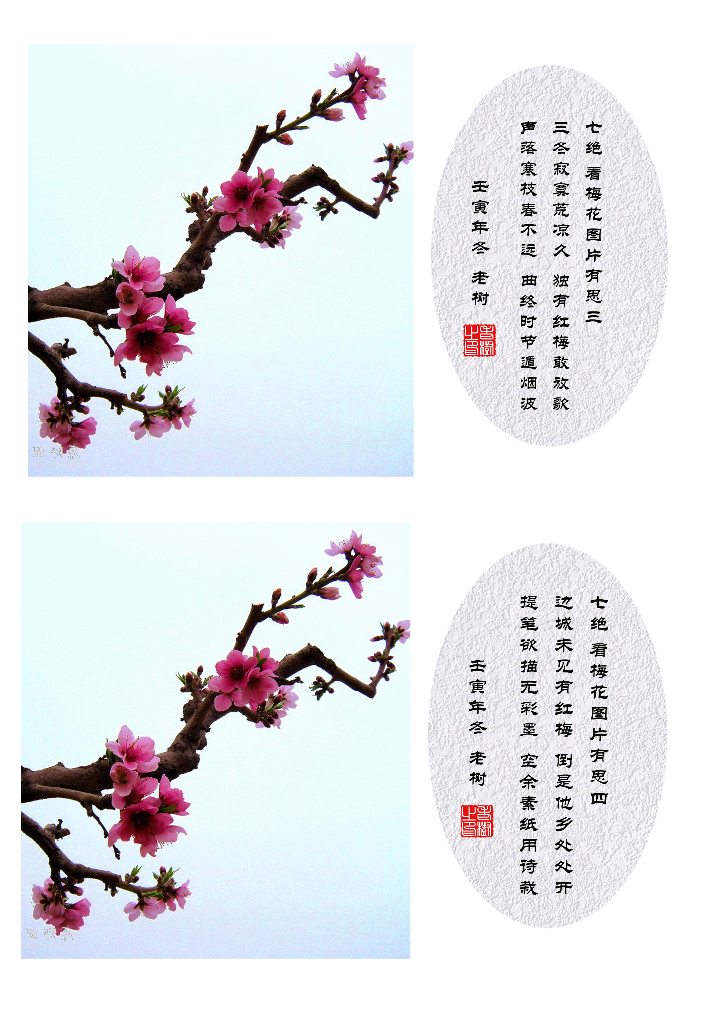 ��ͼ2.jpg