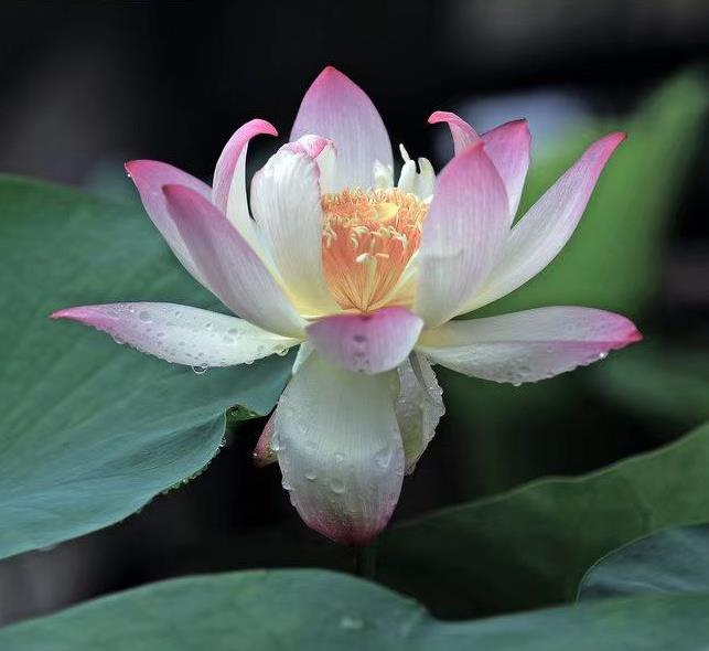 6.1.jpg