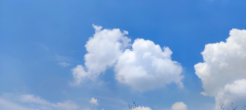 IMG_20230820_113154.jpg