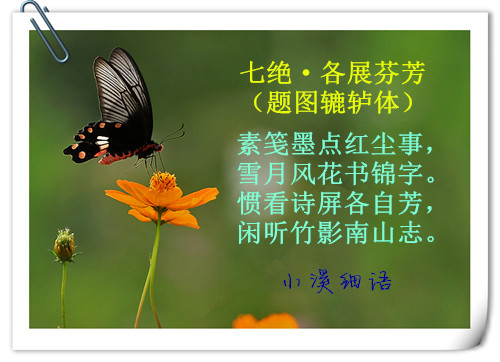 3395aea6b925f09d74d24c93ba29abb7_����.jpg