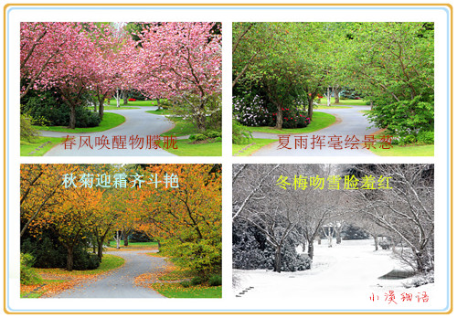 d56b8f2a2c2f2dee296794753f0c264d_����.jpg